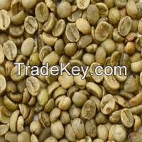 Robusta Green Coffee Beans