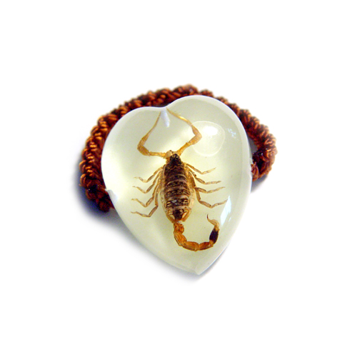 Insect Amber Jewelry---Ring