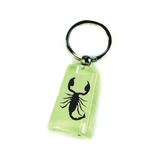 Insect Amber Jewelry---Key Chain