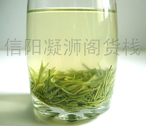 Green tea (Xinyang Maojian tea)