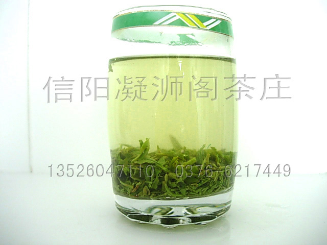 Xinyang Maojian Tea (famous green tea of China)