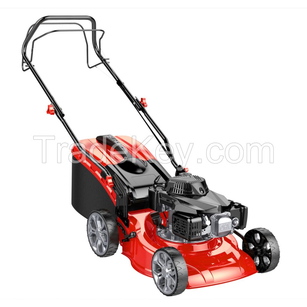 Petrol lawnmower