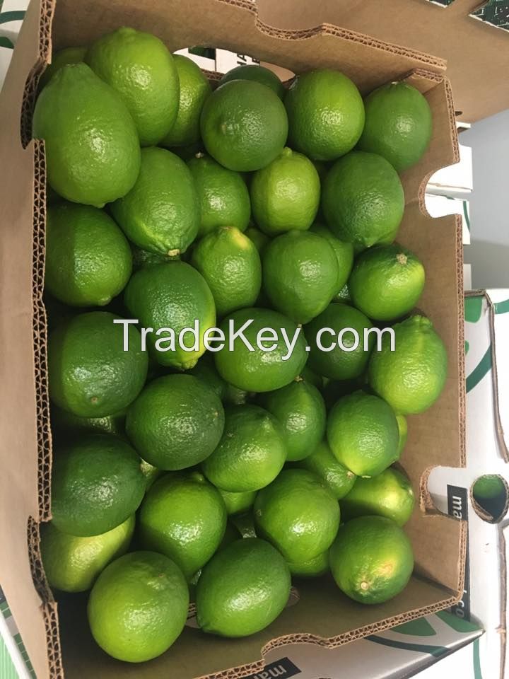 Seedless Lime (40pound box)