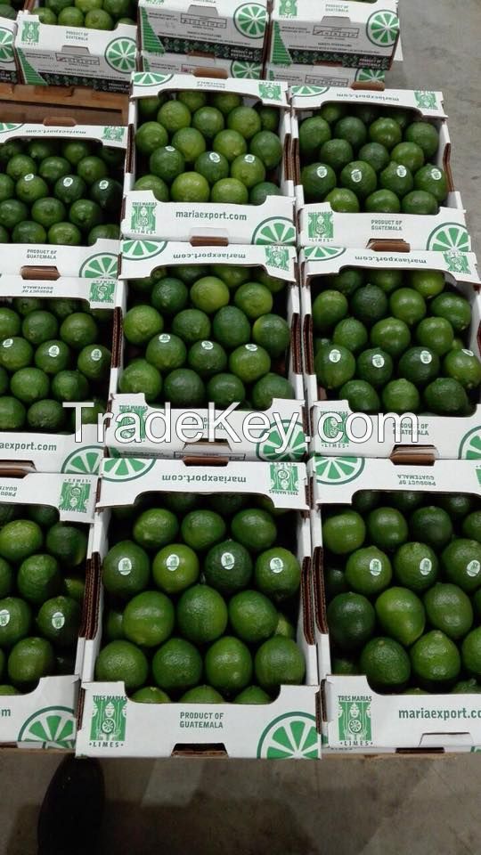 Seedless Lime (4.5kg box)