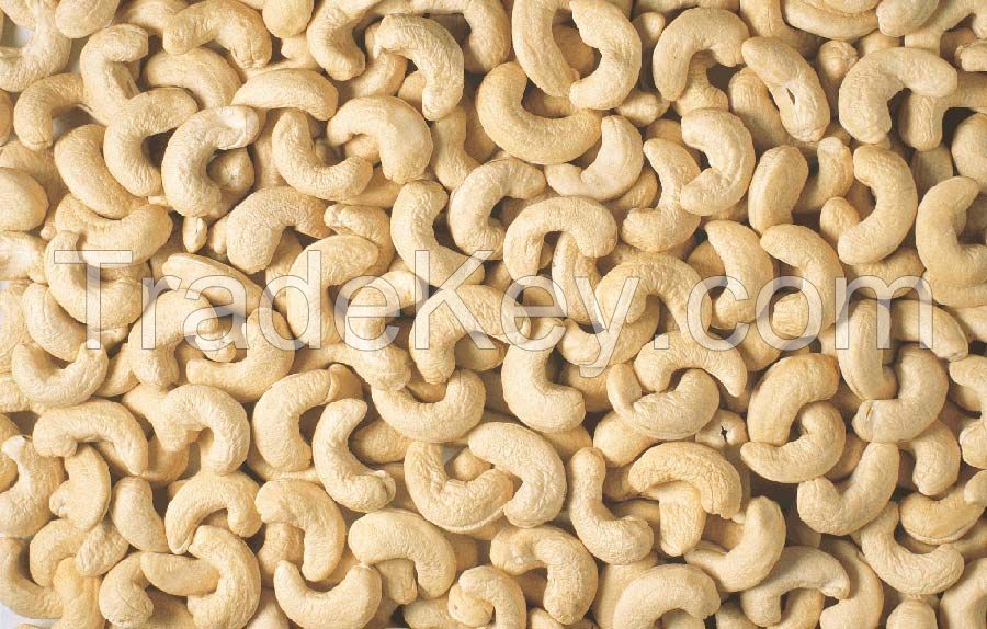 First grade cashewnuts W210, W240, W320, W450, WB, WS, LWP, SWP