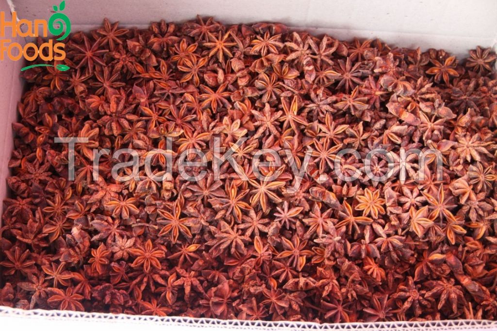 Dried Star Anise Flower