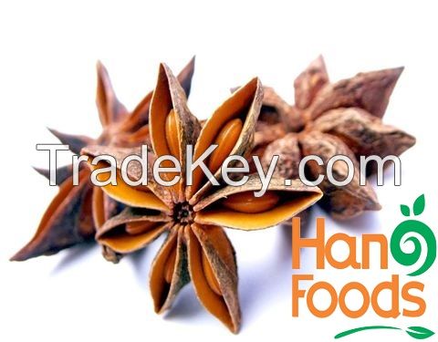 Dried Star Anise Flower