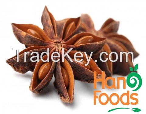 Dried Star Anise Flower