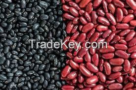 Kidney beans