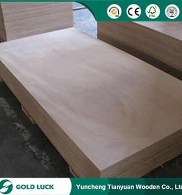 Hot Sell First Grade Marine Phenolic Plywood for Construction/Building 1220x2440mm