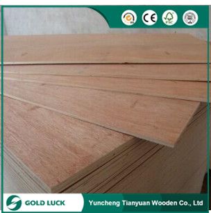 1220x2440mm  Binrangor Commercial Plywood