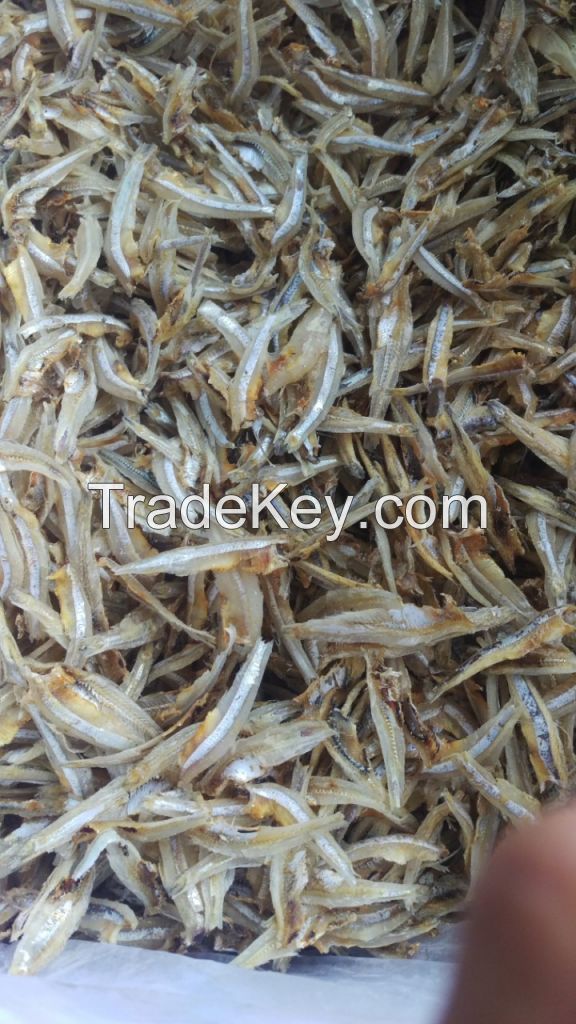 high quality dried anchovy seafood from Vietnam