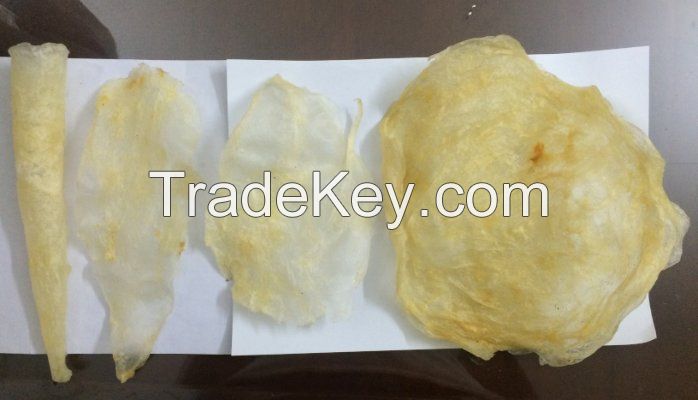 high quality pangasius fish maw from Vietnam