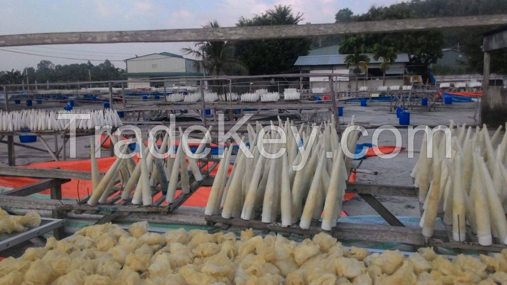 pangasius fish maw from Vietnam