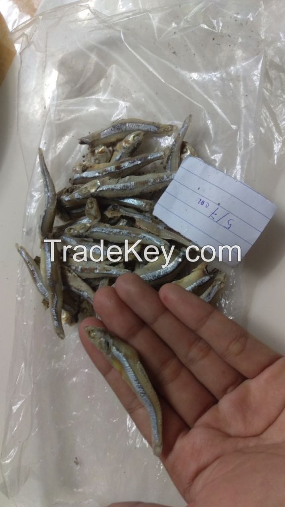 high quality dried anchovy seafood from Vietnam