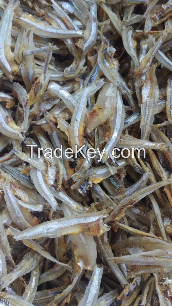 high quality dried anchovy seafood from Vietnam