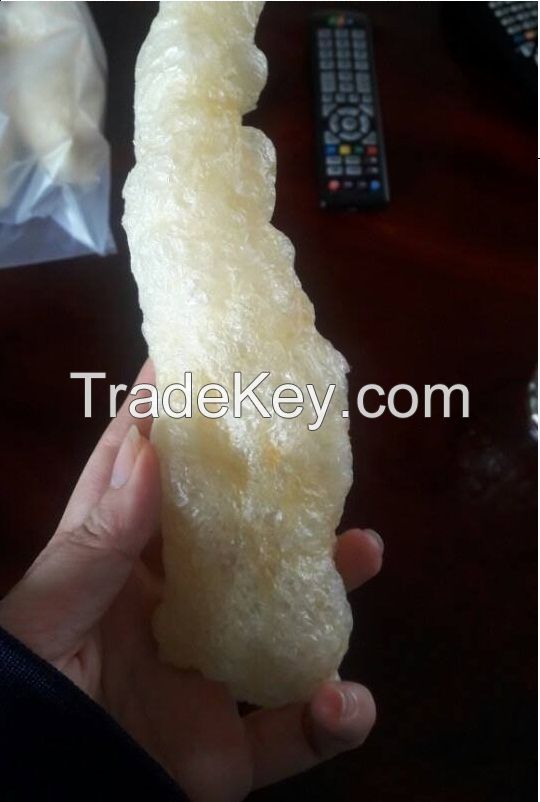 pangasius fish maw from Vietnam