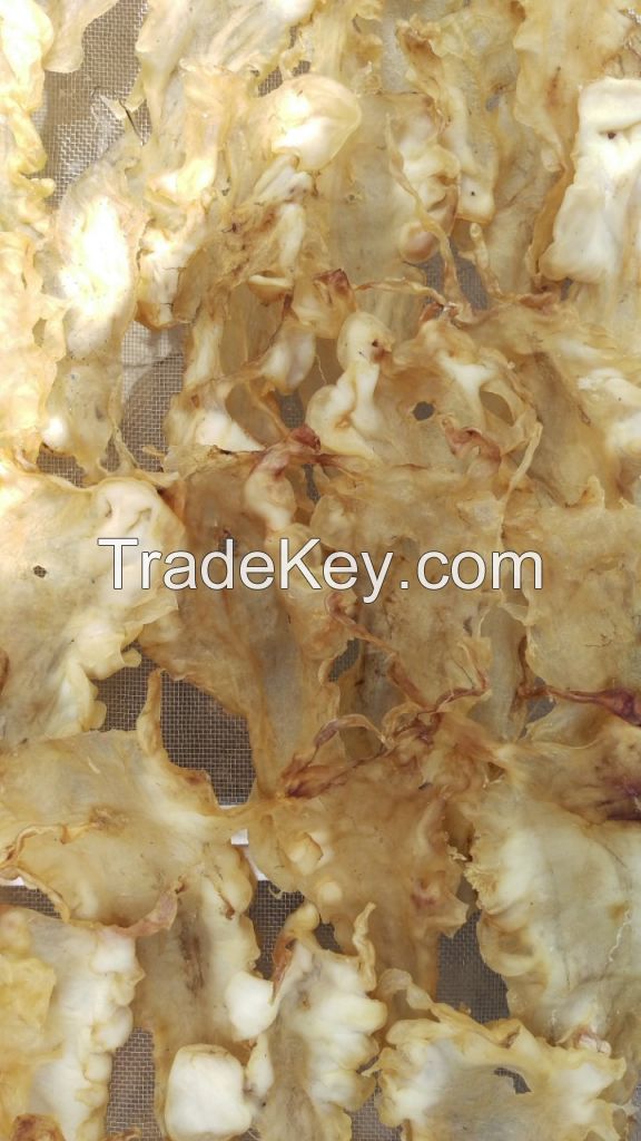 dried codfish 