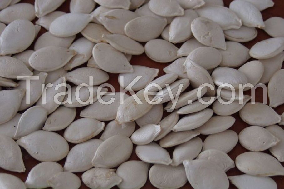 Pumpkin seed for SALE from UKRAINE!
