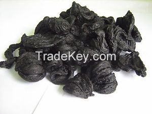 Garcinia gummi-gutta(Gorakka)