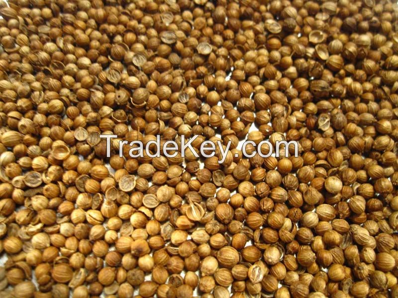 Coriander seeds