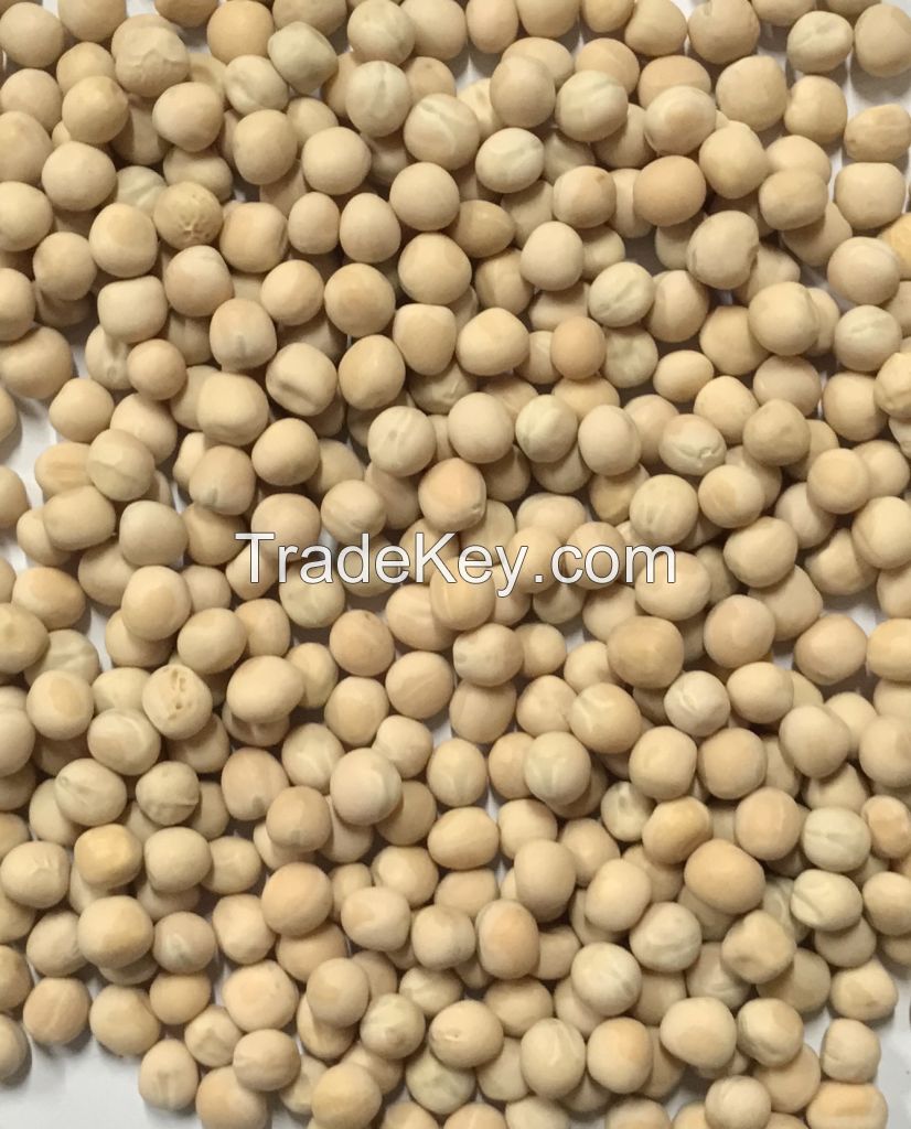 Yellow peas