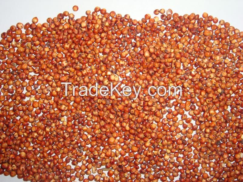 Red Sorghum