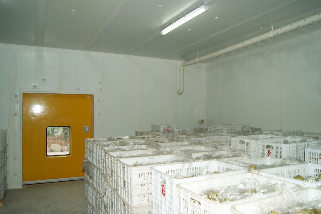 fruit  and  vegetable  cold storage