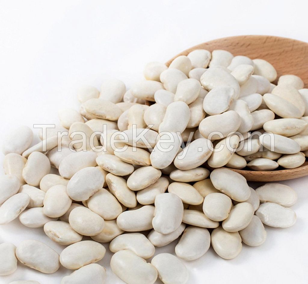 cheap large white kidney beans