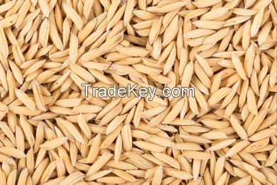 Canary Seeds - Birds Food