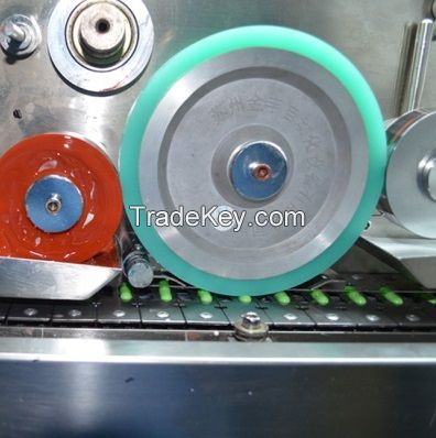 Empty hard capsule circle & axial printing machine