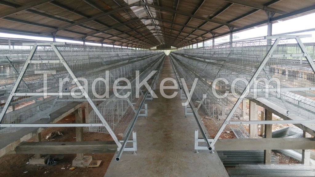 popular selling bird cage chicken cage layer cages for sale