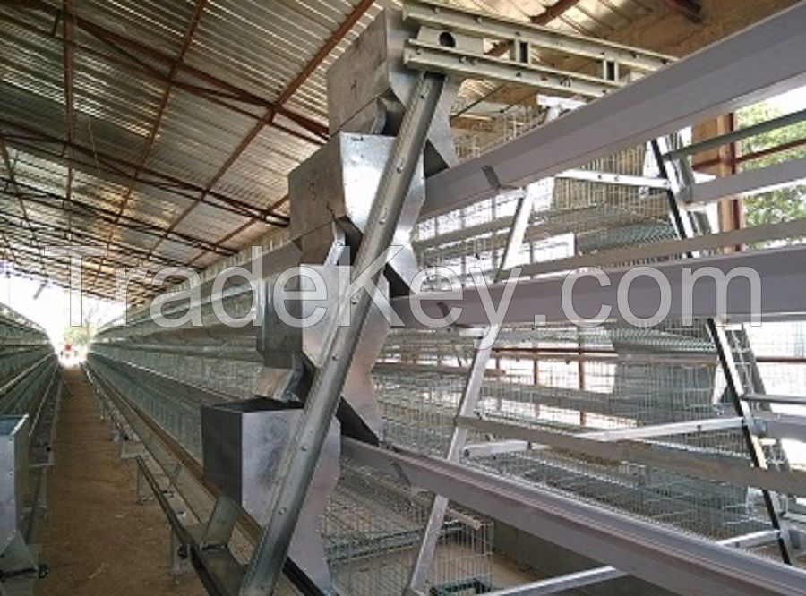 Battery Layer Chicken Cage for Poultry Farm with Large Capacity