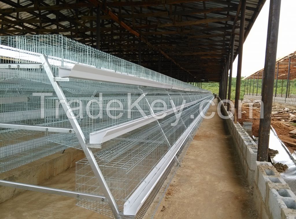 Automatic Chicken Breeding Cage/Poultry Farm House Equipment