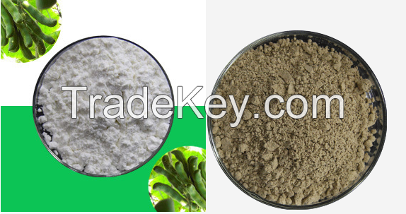 Asiatic Acid , centella asiatica extract