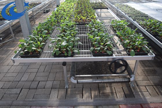 greenhouse wire mesh rolling bench growing table