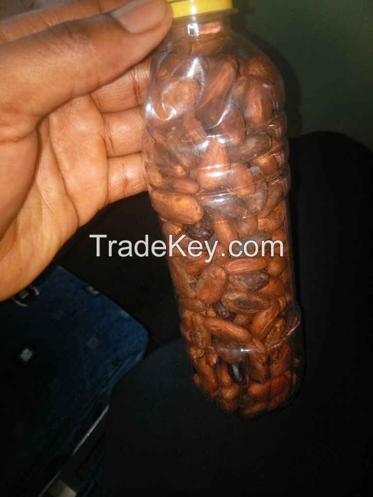 cocoa beans