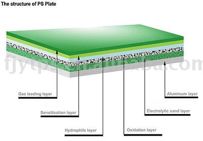 Positive PS Plate