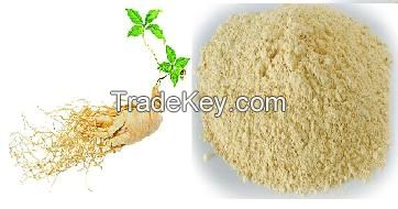 Panax Ginseng Extract Powder