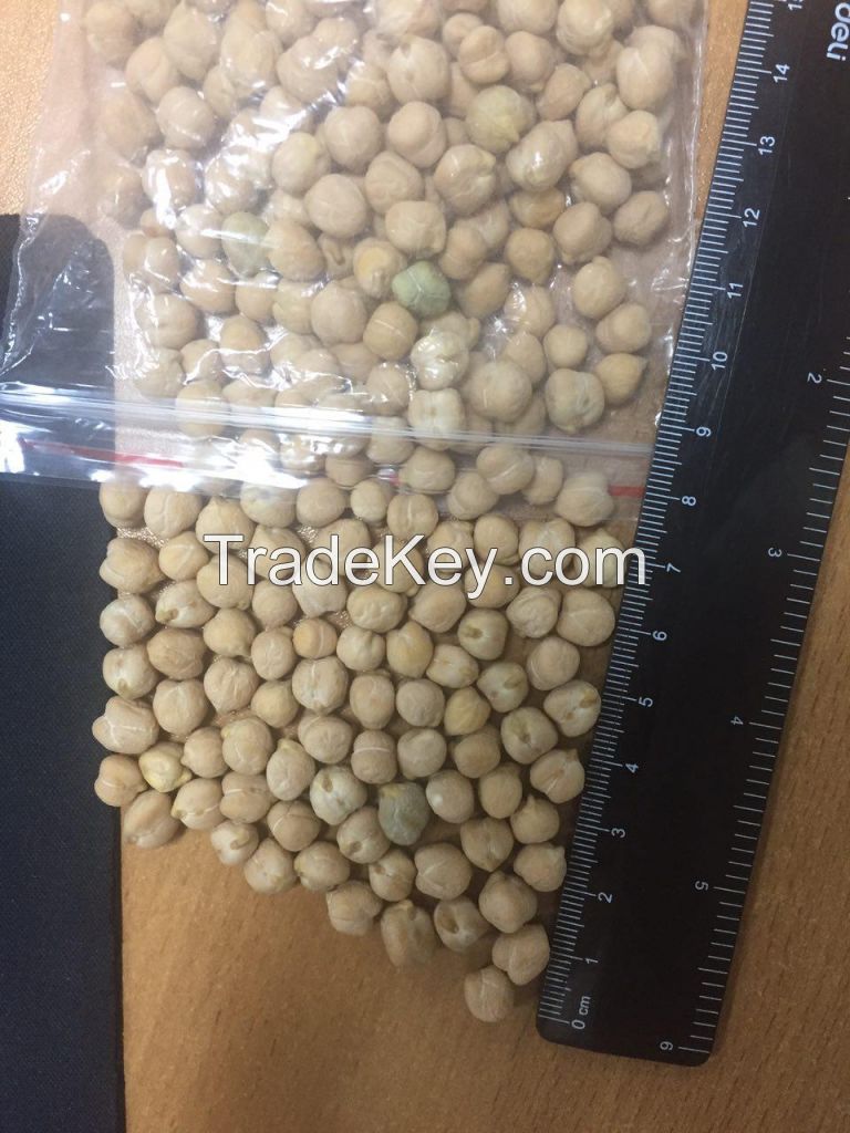 chickpeas calibre 7/8+