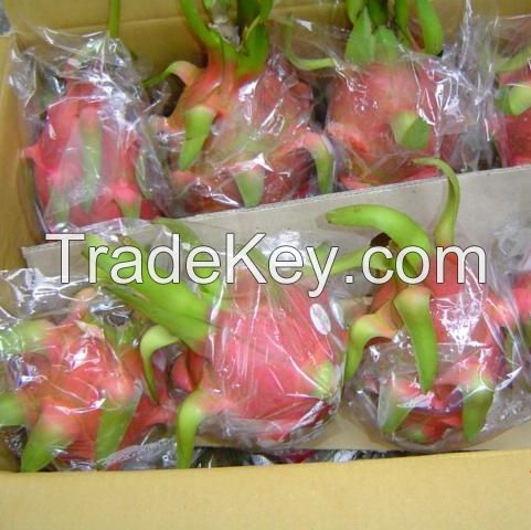 HIGH QUALITY FRESH DRAGON FRUIT 650$ PER TON