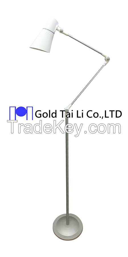 LED Floor Lamp TD-6688L2