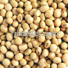 Soya Beans