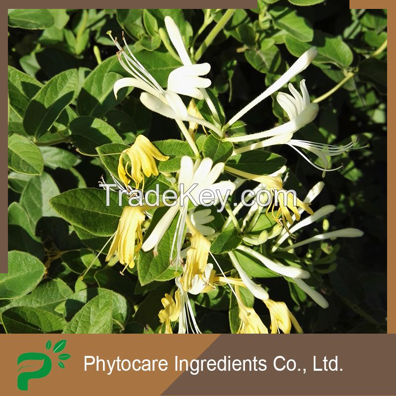 Honeysuckle Flower Extract