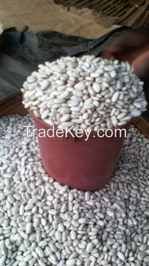 Lusaka White beans