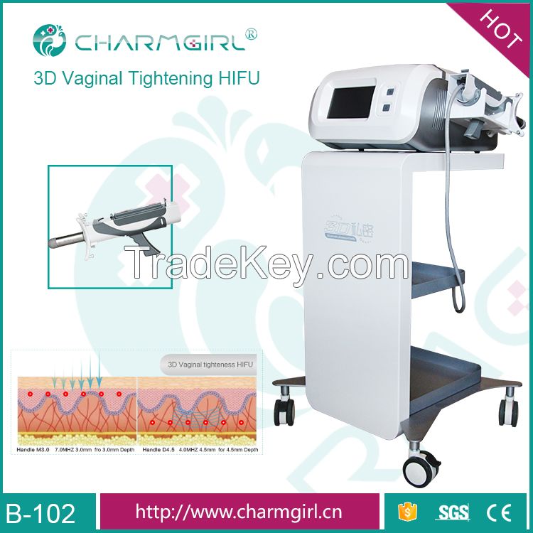 Woman Painless 3D Automatic Vaginal Tightening Machine Vaginal Hifu Fo