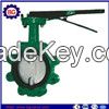 Cast Iron Body Stainless Steel Disc Butterfly Valve 