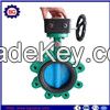 Cast Iron Body Stainless Steel Disc Butterfly Valve 