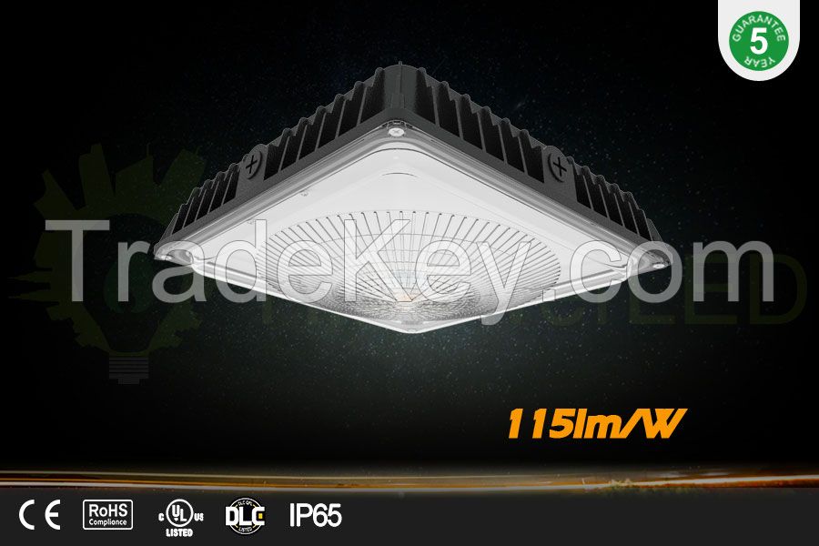 LED canopy light