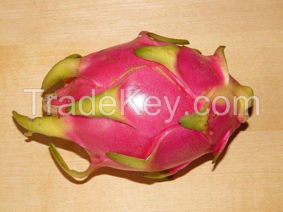 Dragon fruit